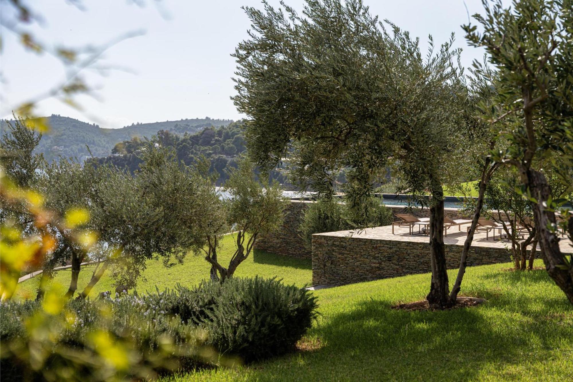 Pelagoon Skiathos Achladies  Quarto foto